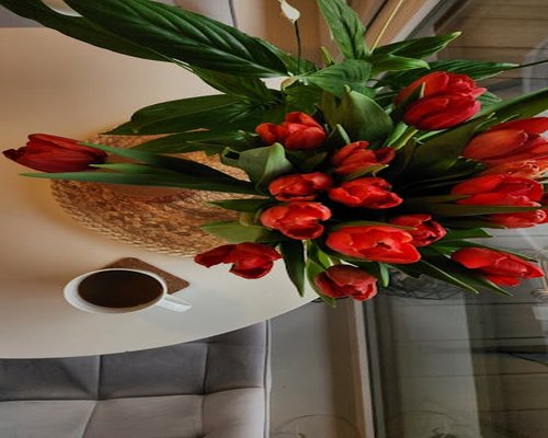 Spokojny poranek przy kawie w jasnym pomieszczeniu